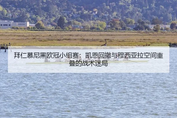 拜仁慕尼黑欧冠小组赛：凯恩回撤与穆西亚拉空间重叠的战术迷局